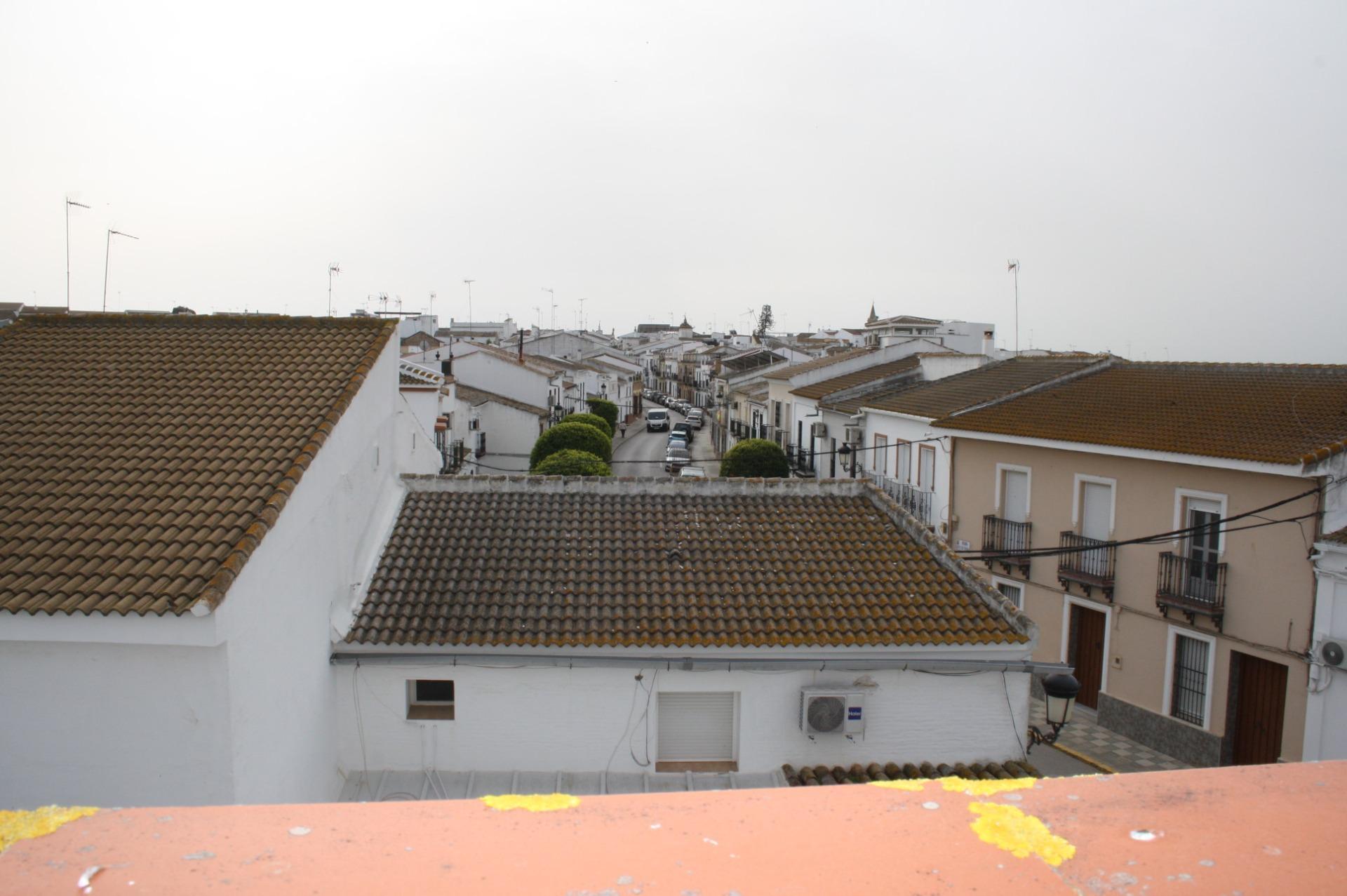 Casas o chalets-Venta-CarriÃ³n de los CÃ©spedes-2143015-Foto-29