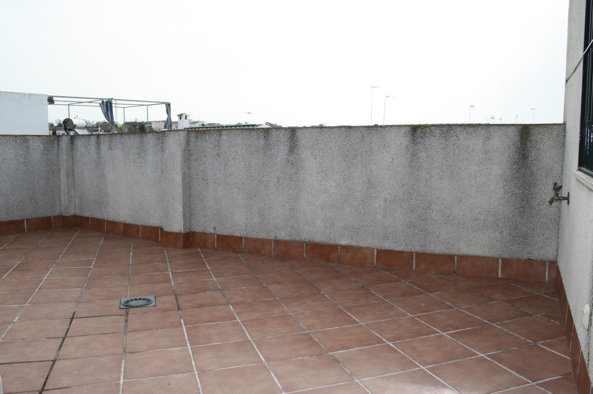 Casas o chalets-Venta-CarriÃ³n de los CÃ©spedes-2143015-Foto-28