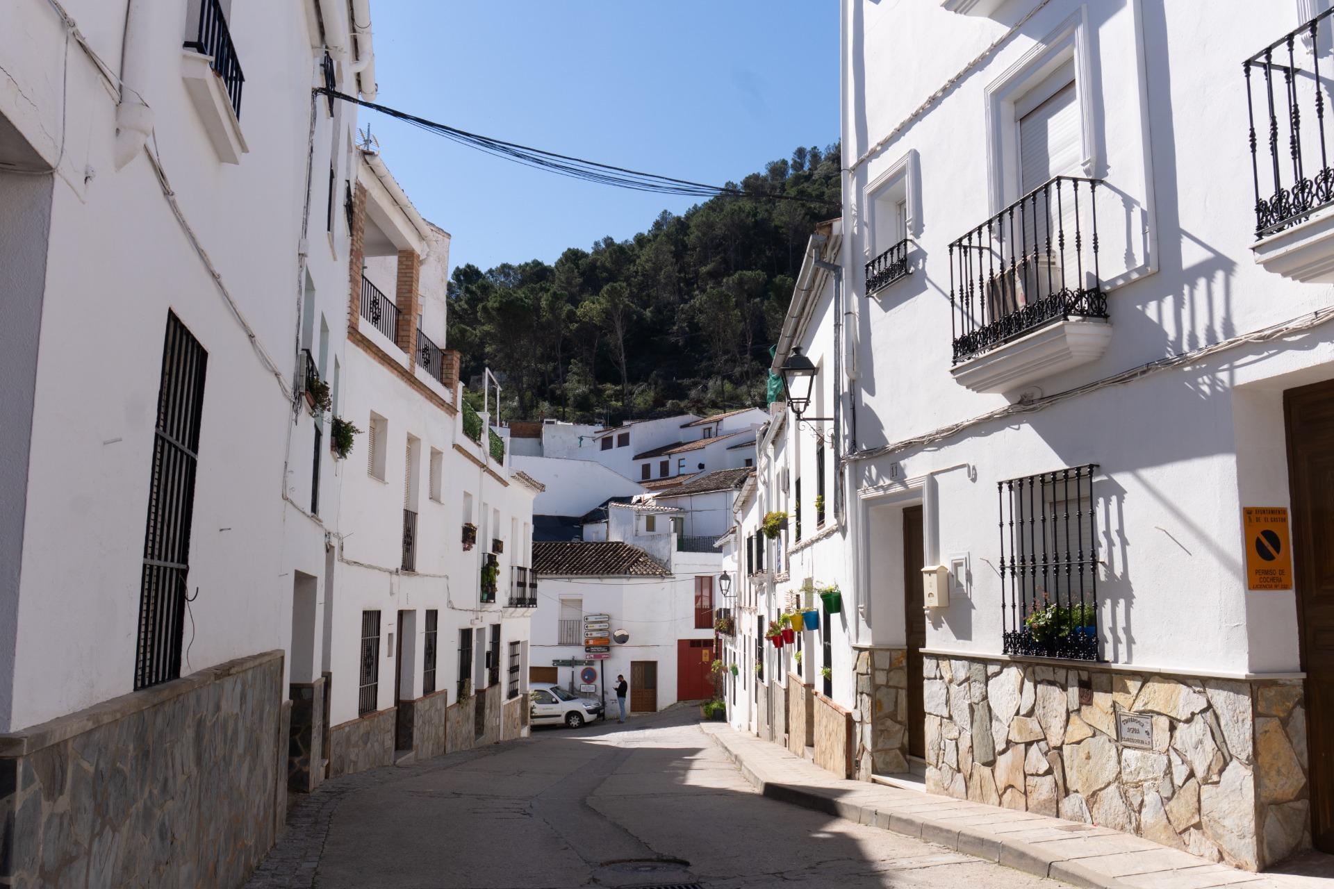 Casas o chalets-Venta-2115853