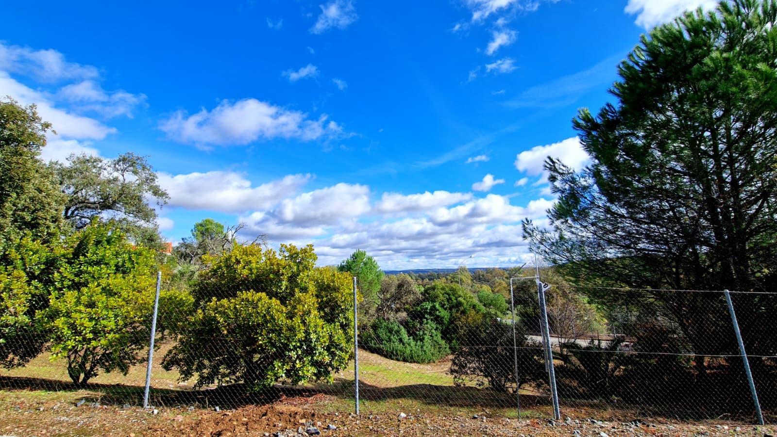 Fincas y solares-Venta-Guillena-2150834-Foto-2