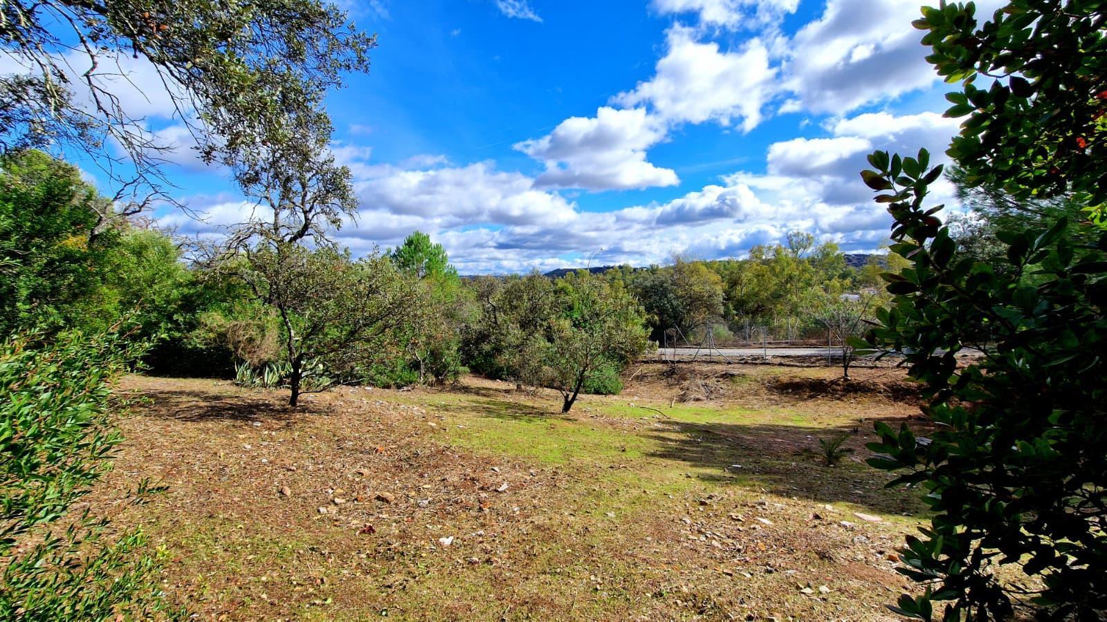 Fincas y solares-Venta-Guillena-2150834-Foto-5