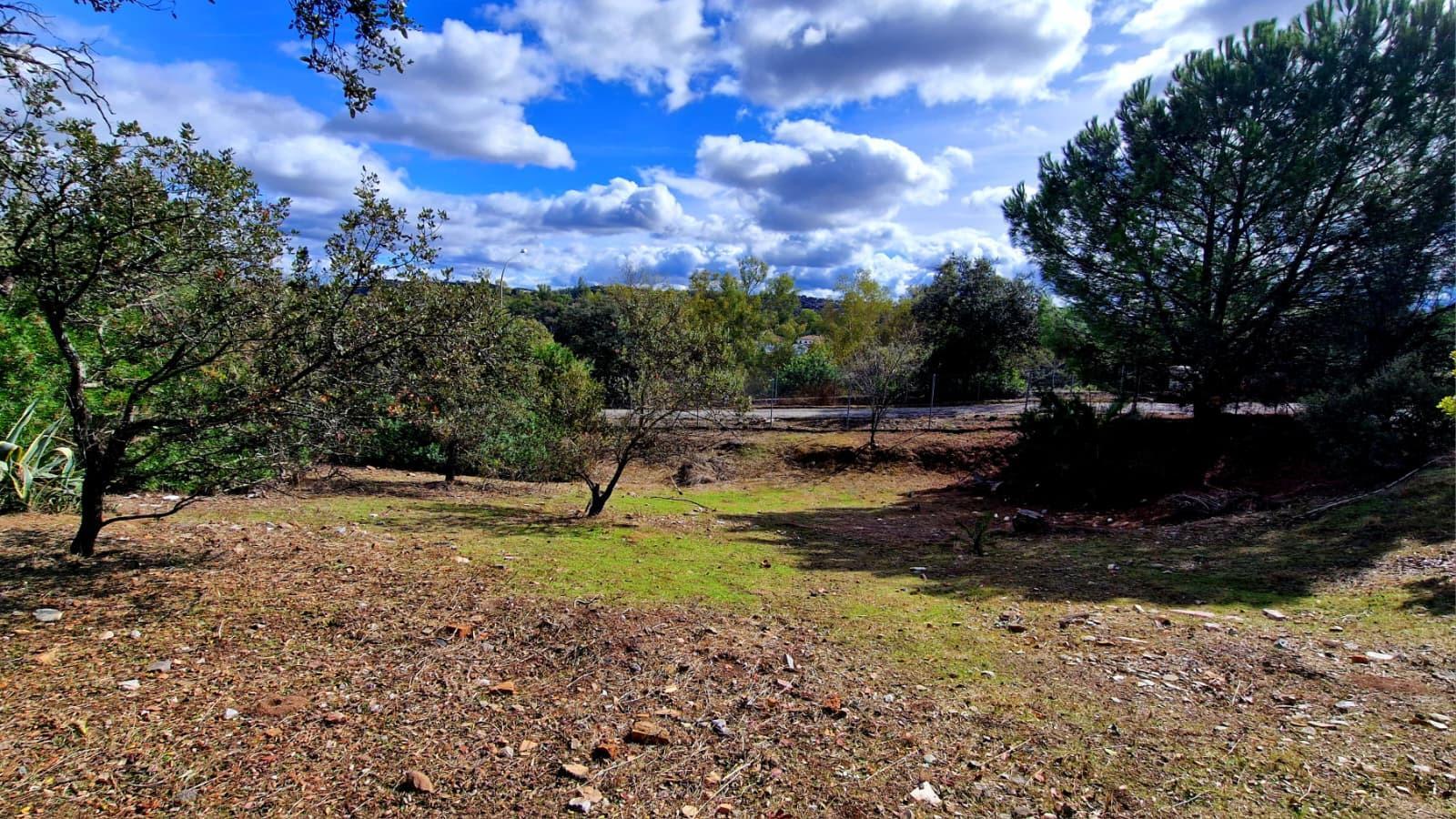 Fincas y solares-Venta-Guillena-2150834-Foto-6