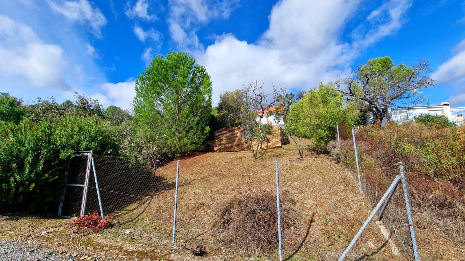 Fincas y solares-Venta-Guillena-2150834-Foto-7