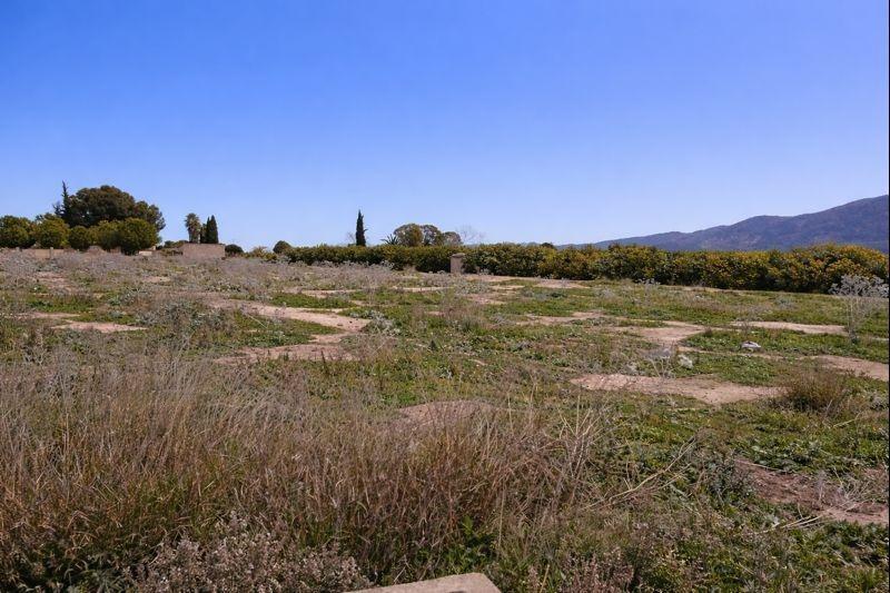 Fincas y solares-Venta-Librilla-2063622-Foto-3