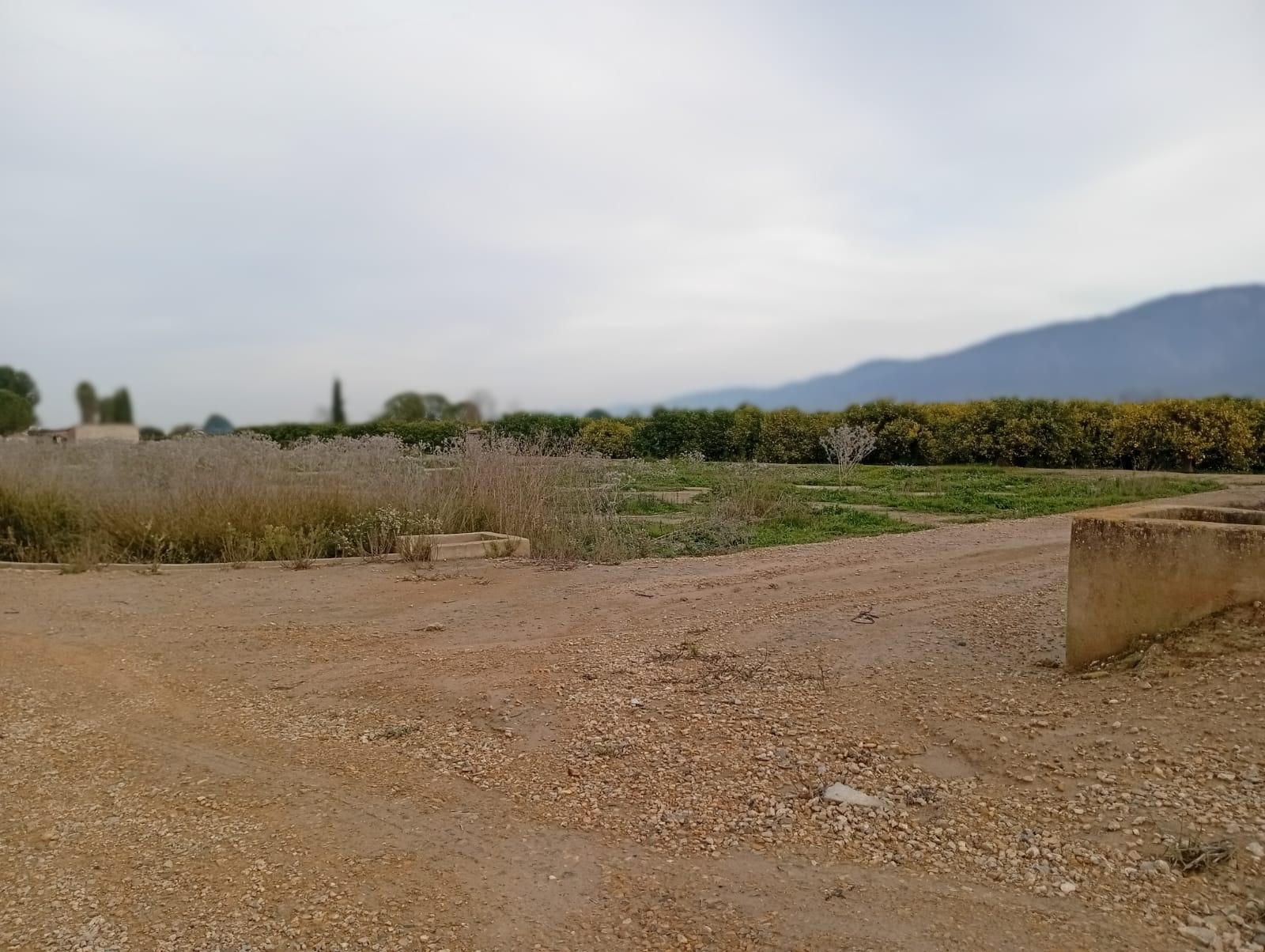 Fincas y solares-Venta-Librilla-2063622-Foto-8