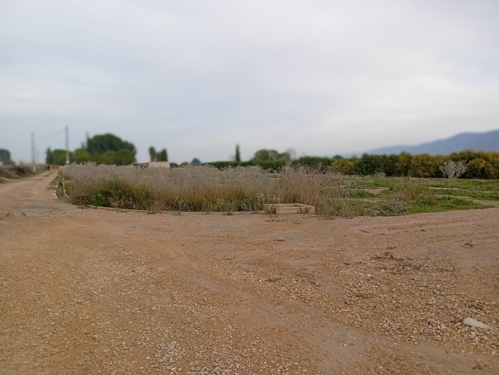 Fincas y solares-Venta-Librilla-2063622-Foto-13