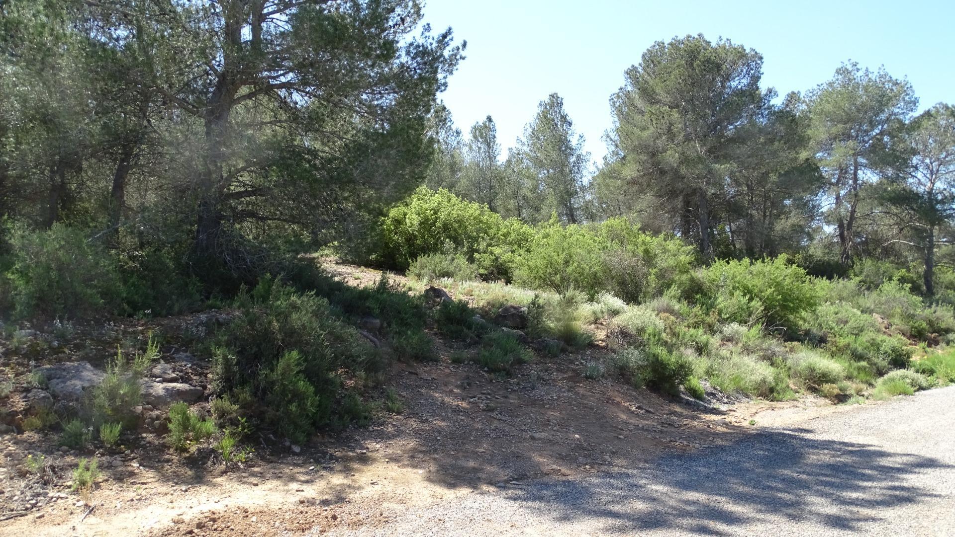 Fincas y solares-Venta-Vilamarxant-2087533-Foto-9