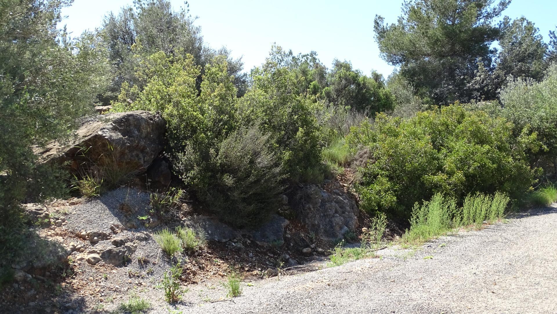 Fincas y solares-Venta-Vilamarxant-2087533-Foto-11