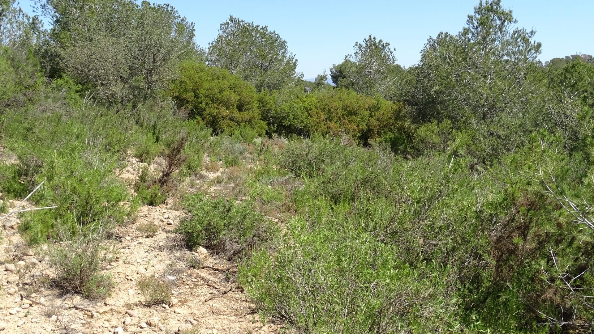 Fincas y solares-Venta-Vilamarxant-2087533-Foto-20