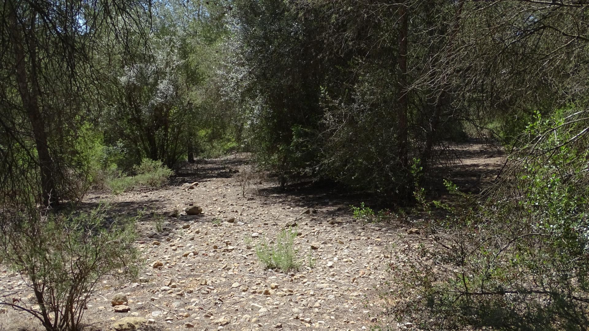 Fincas y solares-Venta-Vilamarxant-2087533-Foto-21