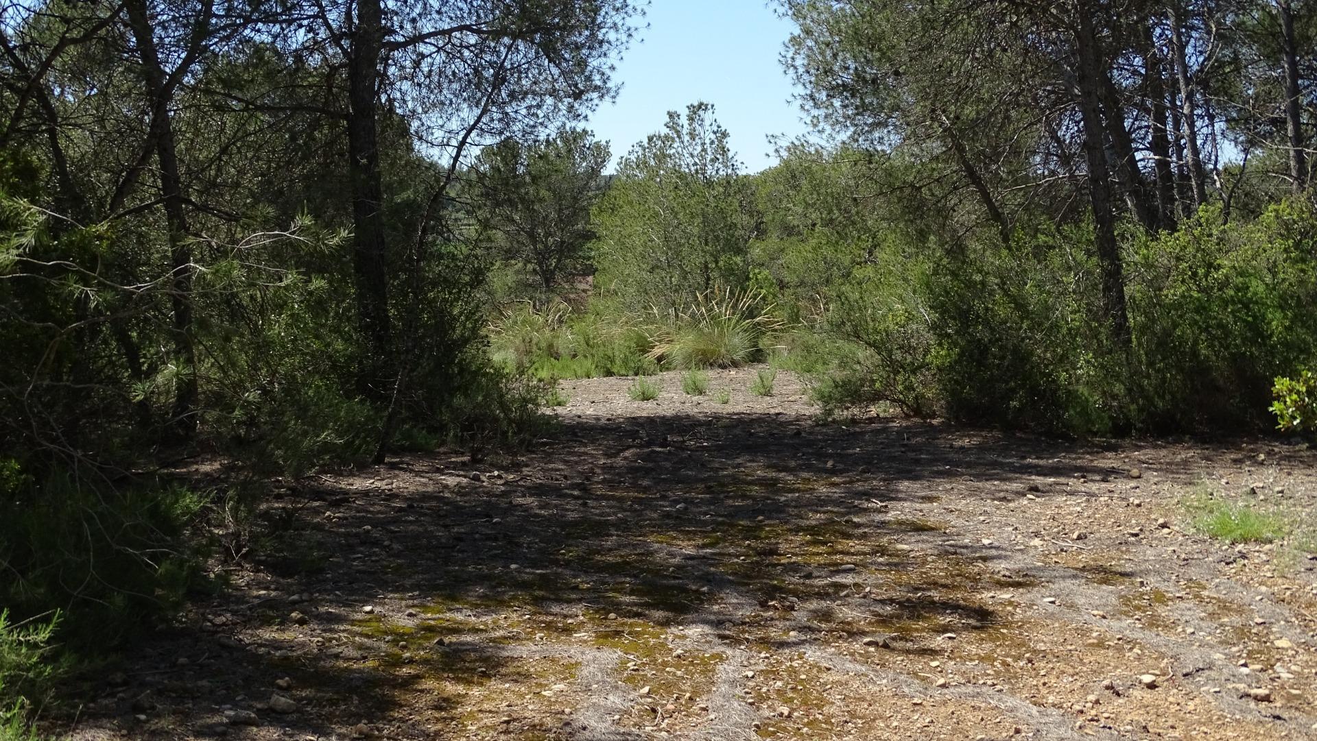 Fincas y solares-Venta-Vilamarxant-2087533-Foto-22