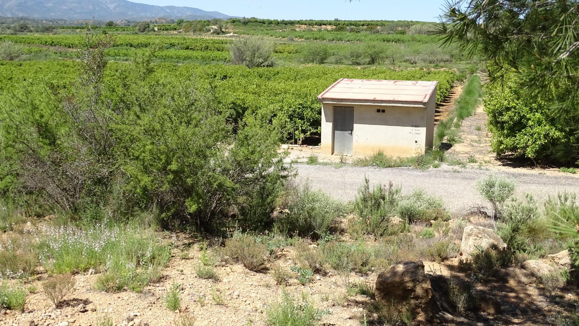 Fincas y solares-Venta-Vilamarxant-2087533-Foto-26