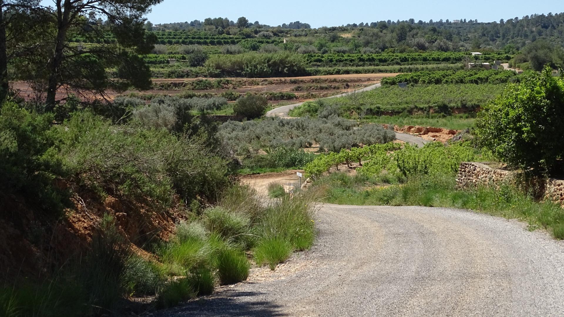 Fincas y solares-Venta-Vilamarxant-2087533-Foto-27