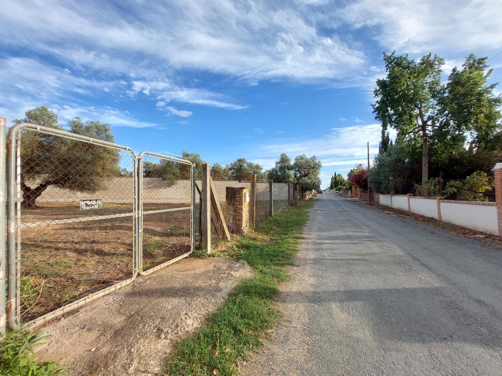 Fincas y solares-Venta-Dos Hermanas-1793318