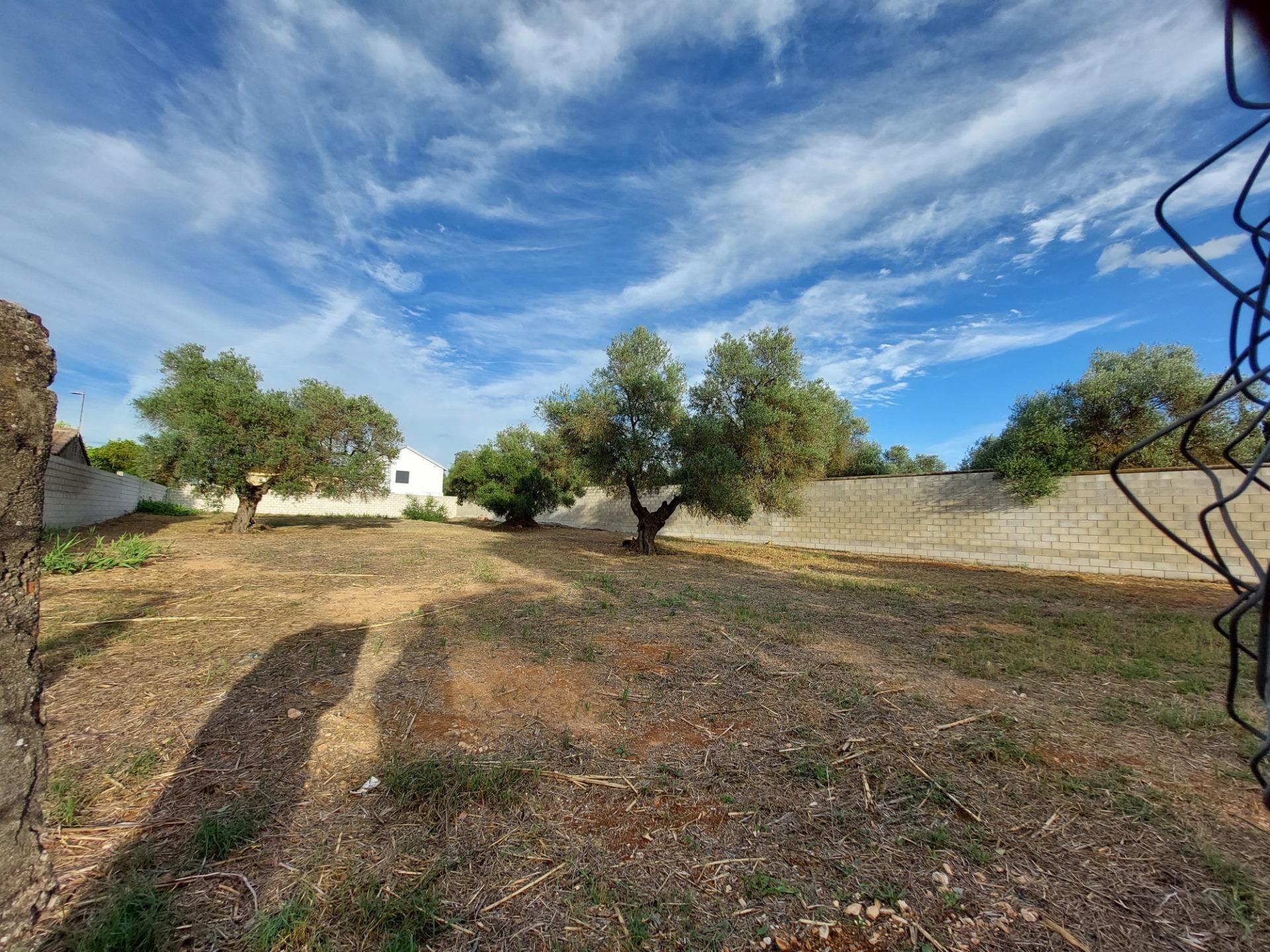 Fincas y solares-Venta-Dos Hermanas-1793318-Foto-5