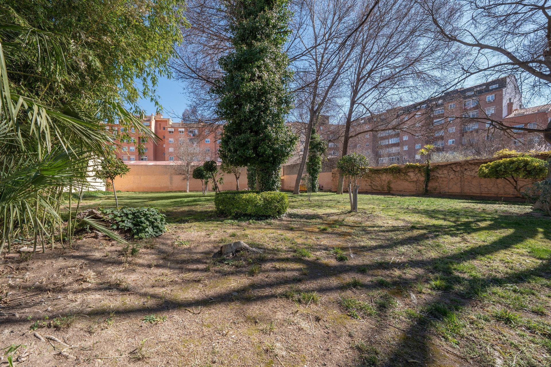 Casas o chalets-Venta-Almansa-2115889-Foto-22