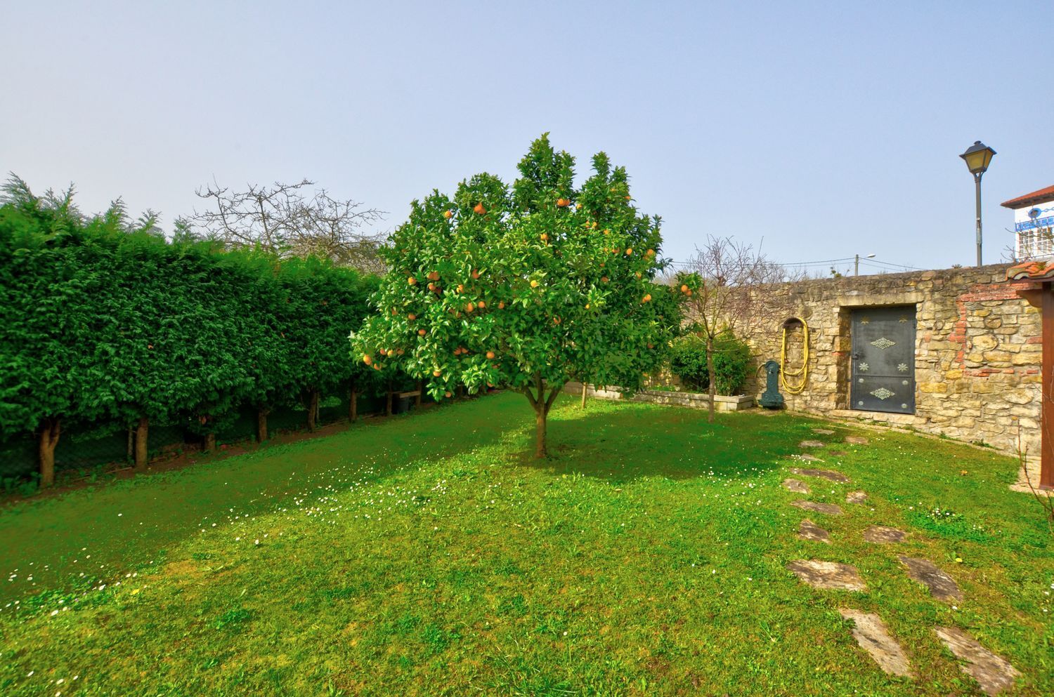 Casas o chalets-Venta-Murcia-2142988-Foto-87