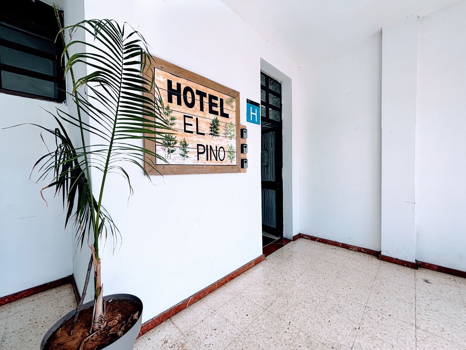 Negocios-Venta-Teror-2114552-Foto-19