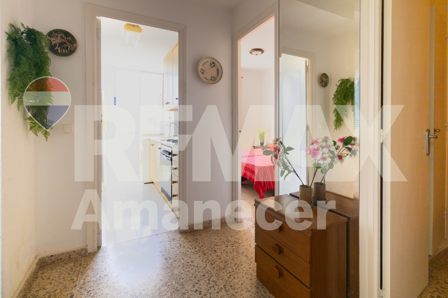 Pisos-Venta-DÃ©nia-2143009-Foto-7