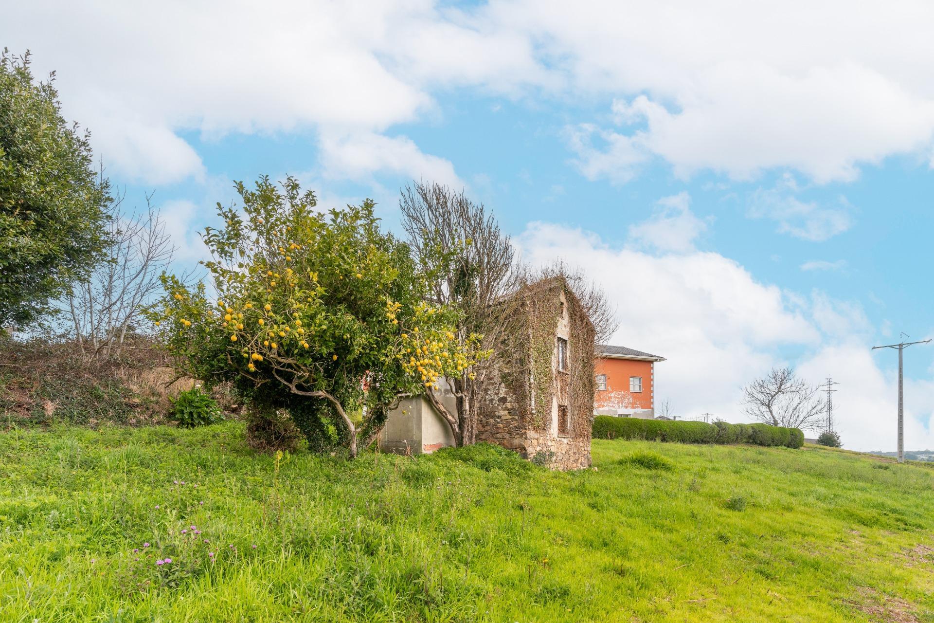 Casas o chalets-Venta-Tapia de Casariego-2143036-Foto-8