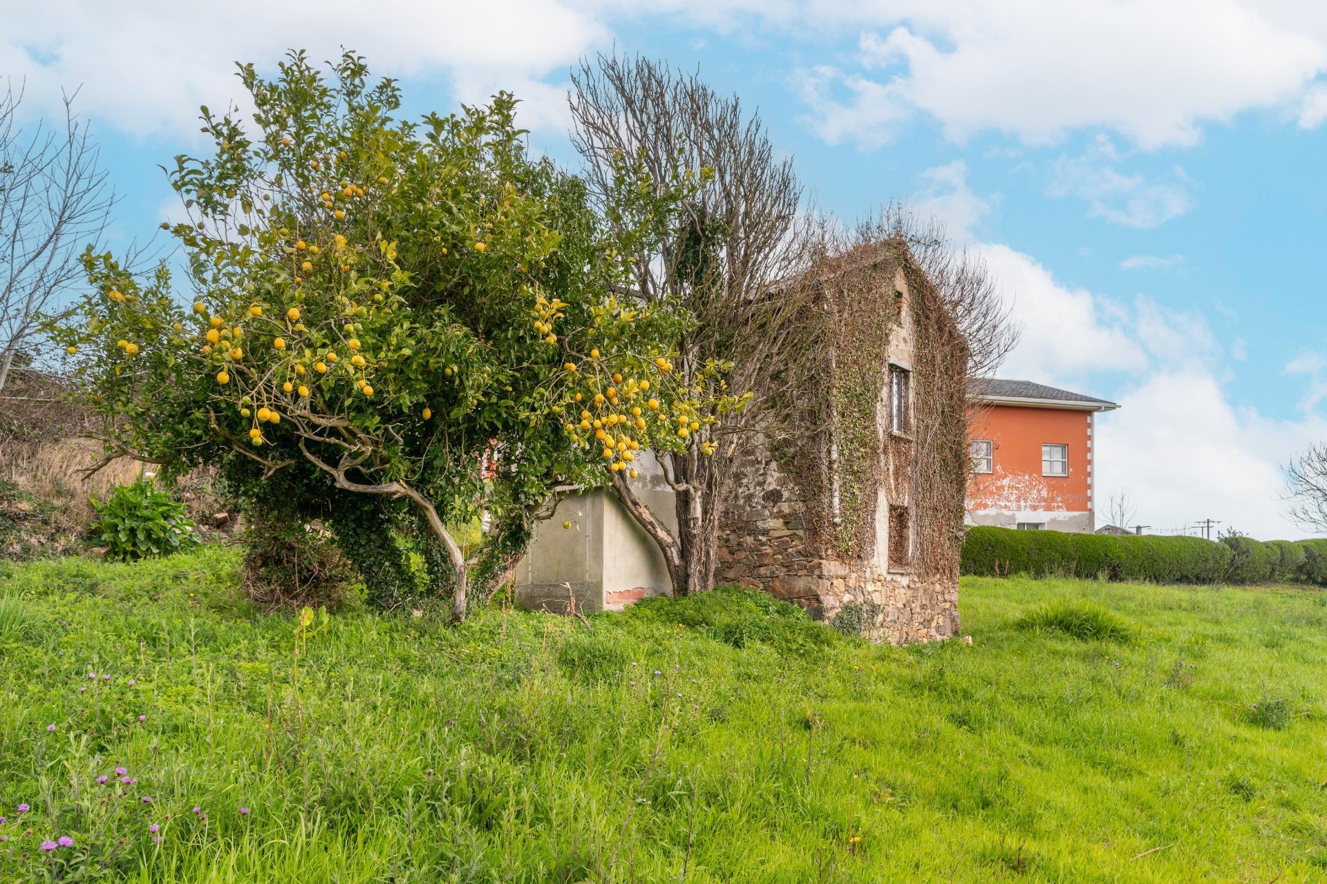 Casas o chalets-Venta-Tapia de Casariego-2143036-Foto-9