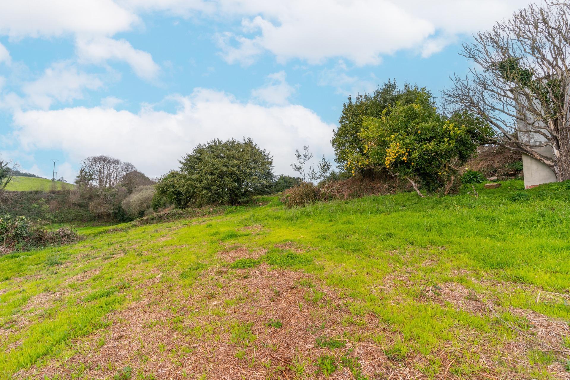 Casas o chalets-Venta-Tapia de Casariego-2143036-Foto-15