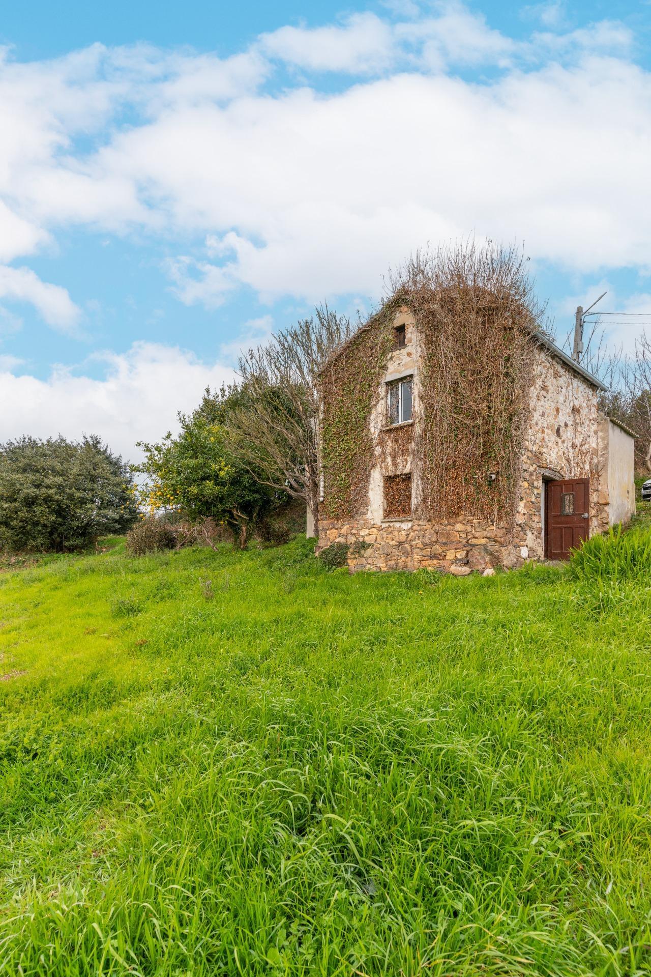 Casas o chalets-Venta-Tapia de Casariego-2143036-Foto-13