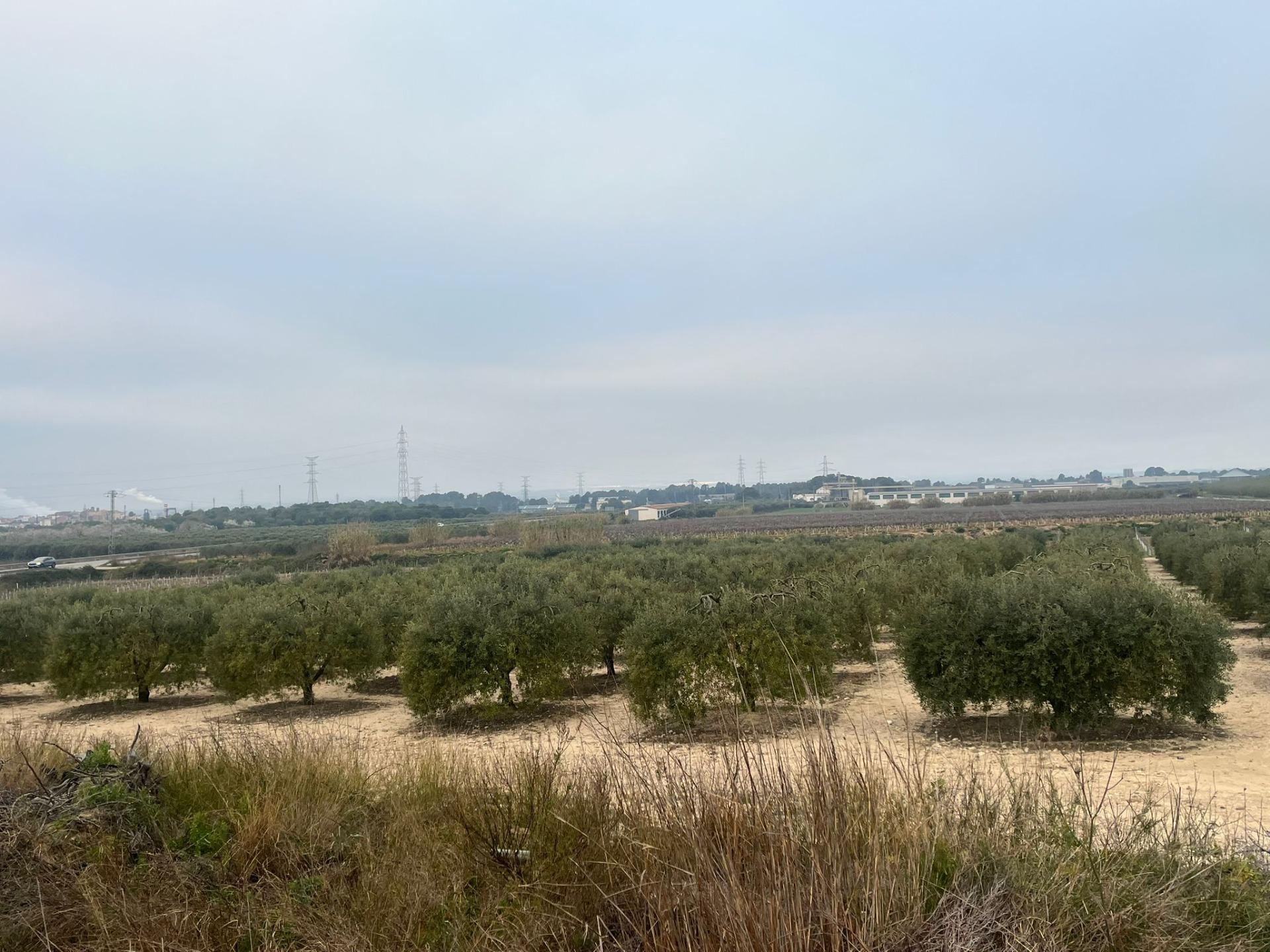 Fincas y solares-Venta-Perafort-2143141-Foto-3