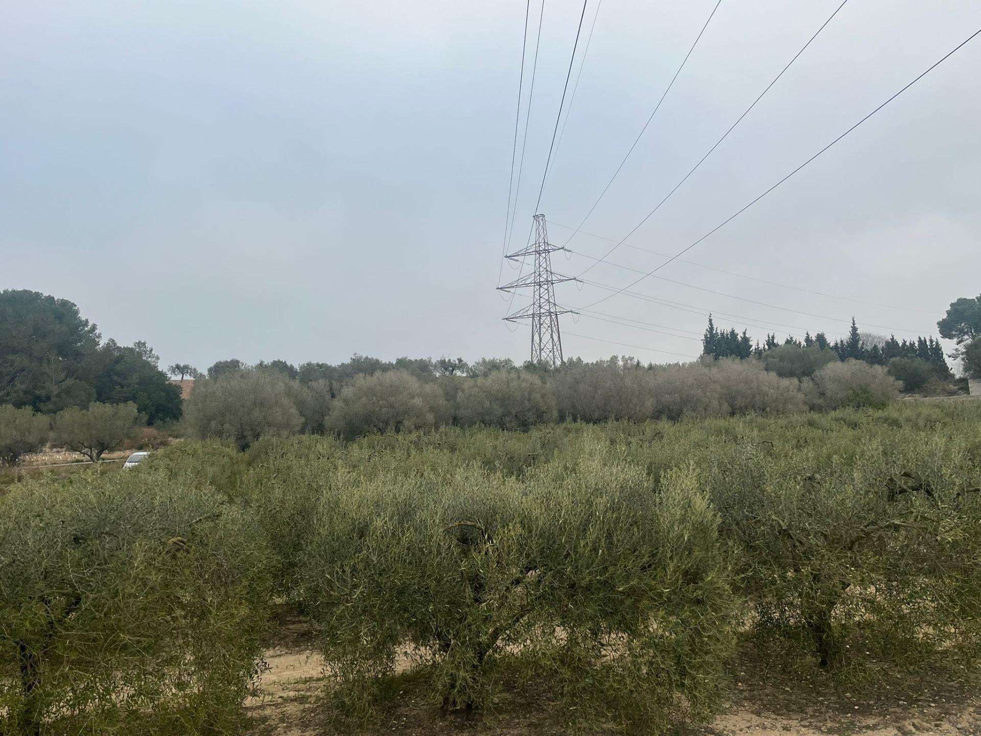 Fincas y solares-Venta-Perafort-2143141-Foto-6