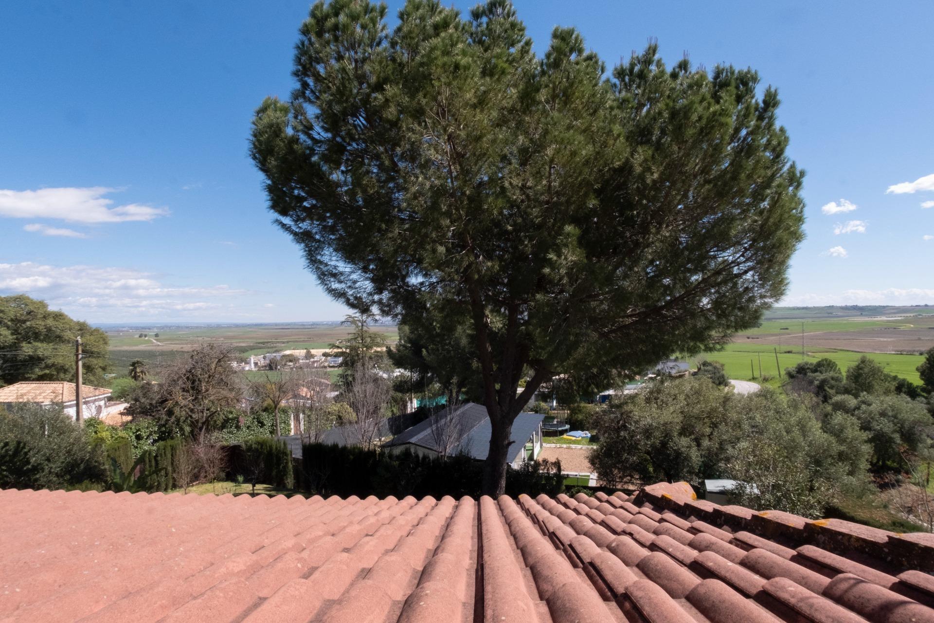 Casas o chalets-Venta-Salteras-1678708-Foto-69