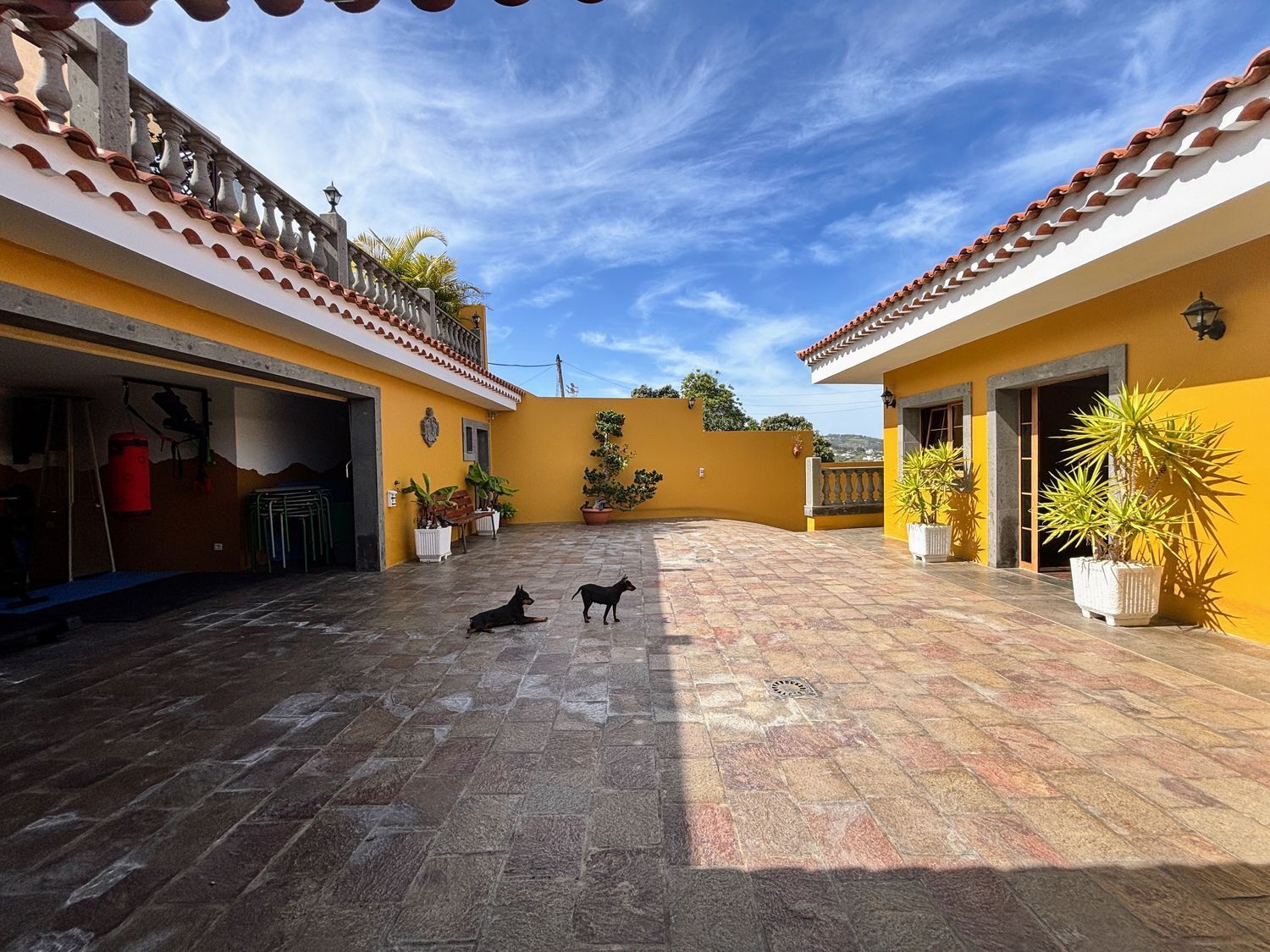 Casas o chalets-Venta-Firgas-2143147-Foto-6