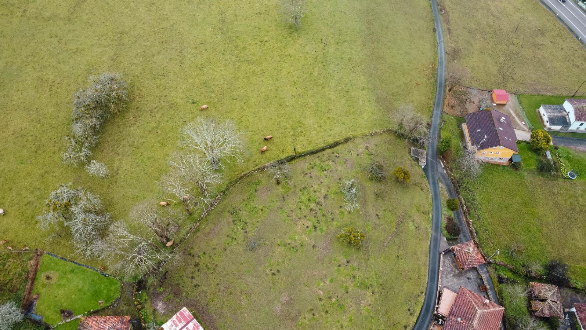 Casas o chalets-Venta-Parres-2041011-Foto-40