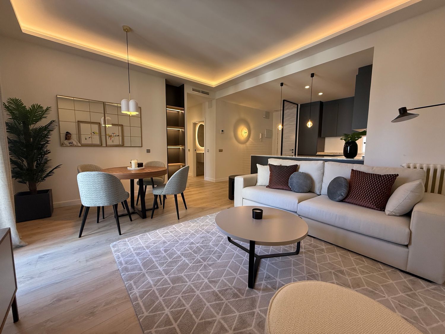 Pisos-Alquiler-Madrid-1727435