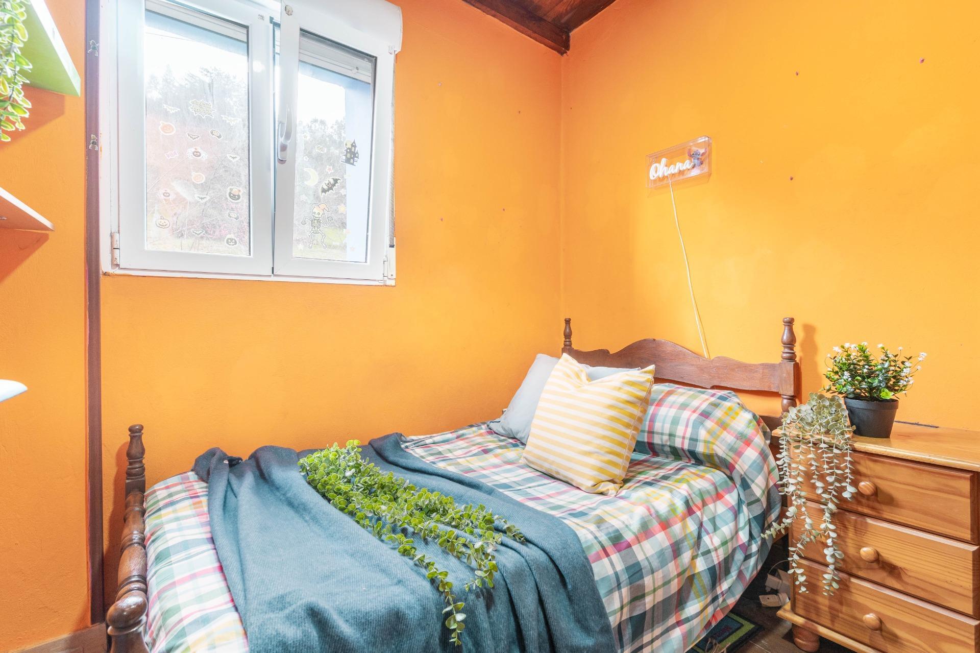 Casas o chalets-Venta-Candamo-2150200-Foto-11