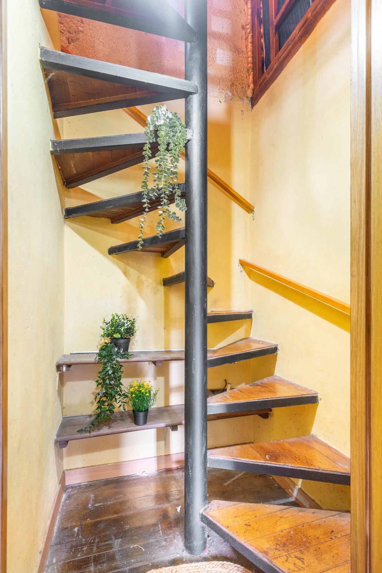 Casas o chalets-Venta-Candamo-2150200-Foto-27