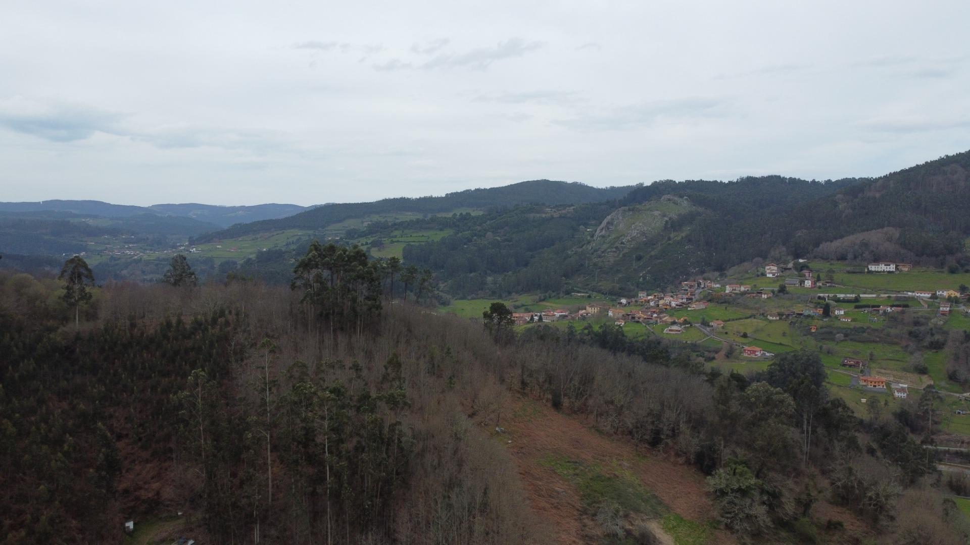 Casas o chalets-Venta-Candamo-2150200-Foto-44