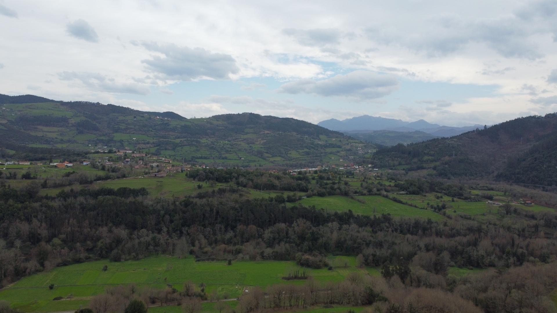 Casas o chalets-Venta-Candamo-2150200-Foto-46