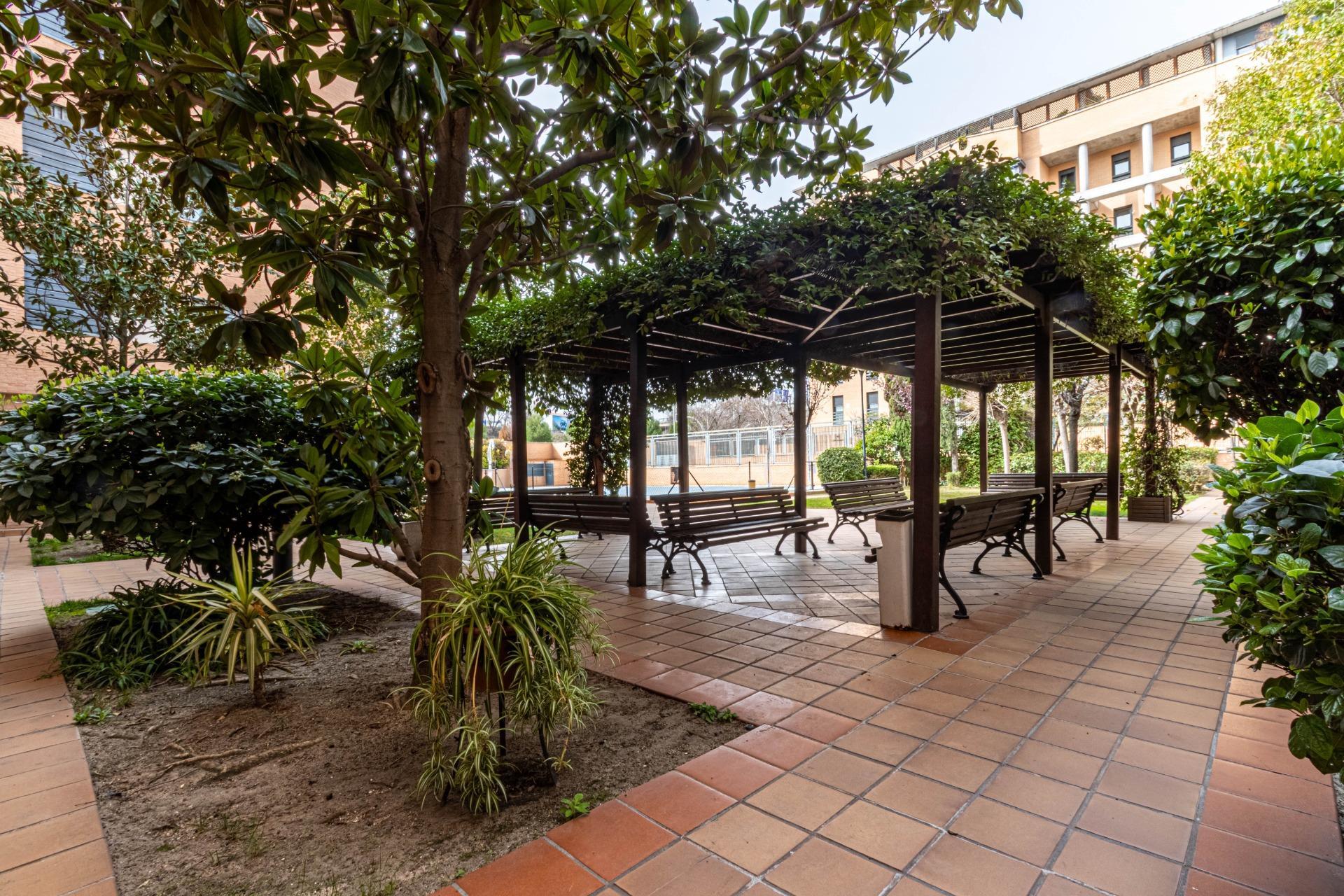 Pisos-Alquiler-Madrid-2150209-Foto-15