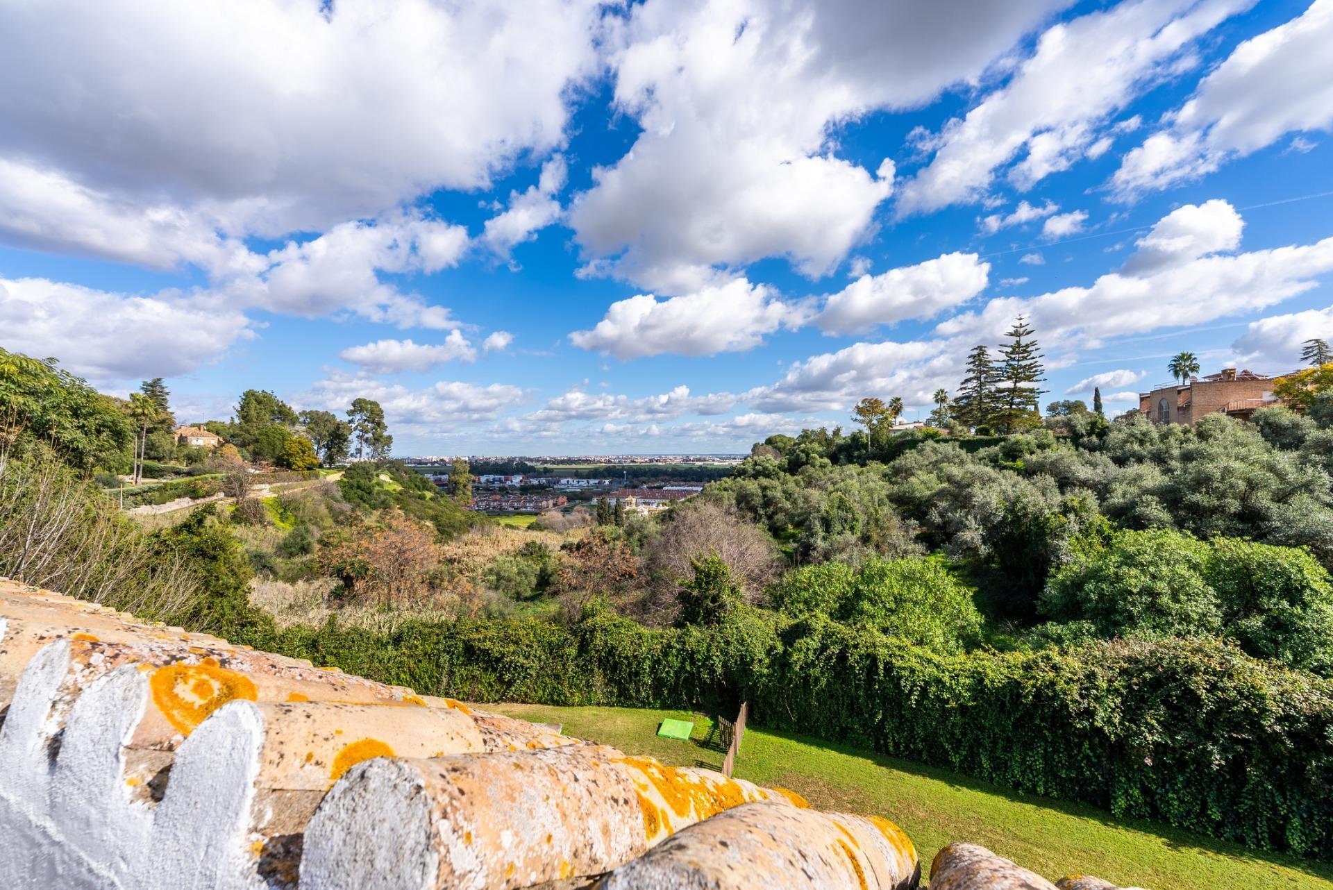 Casas o chalets-Venta-Mairena del Aljarafe-1651701-Foto-28