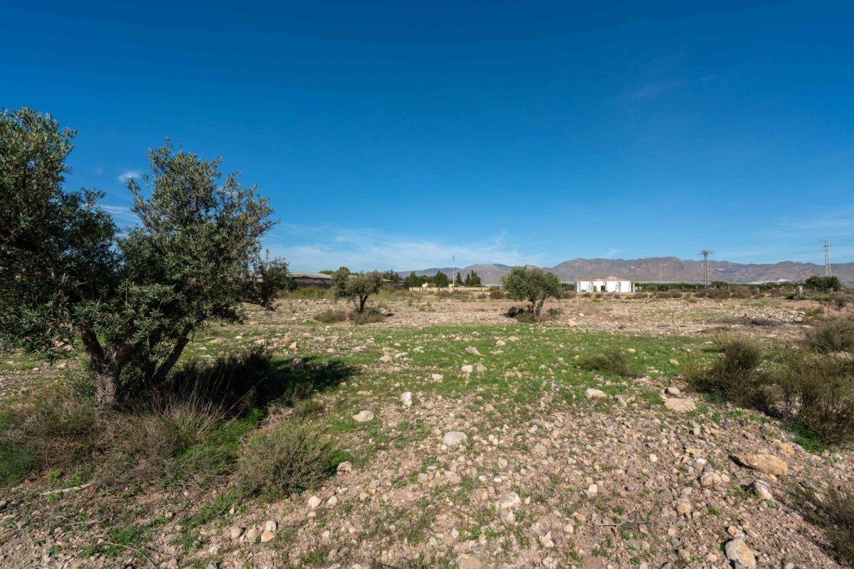 Fincas y solares-Venta-NÃ­jar-2107134-Foto-9