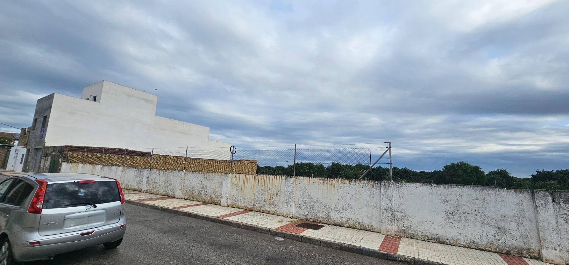 Fincas y solares-Venta-La Algaba-1976673-Foto-11