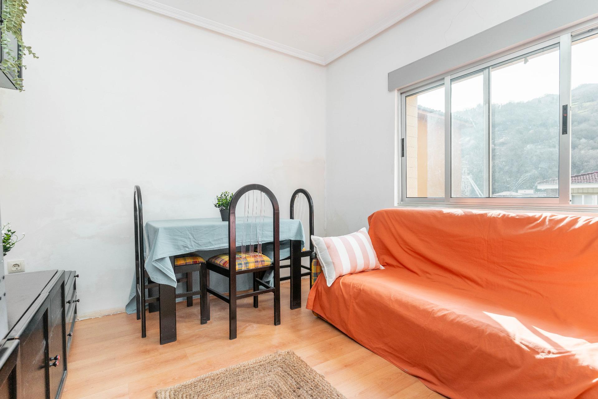 Pisos-Venta-Aller-2150218-Foto-14