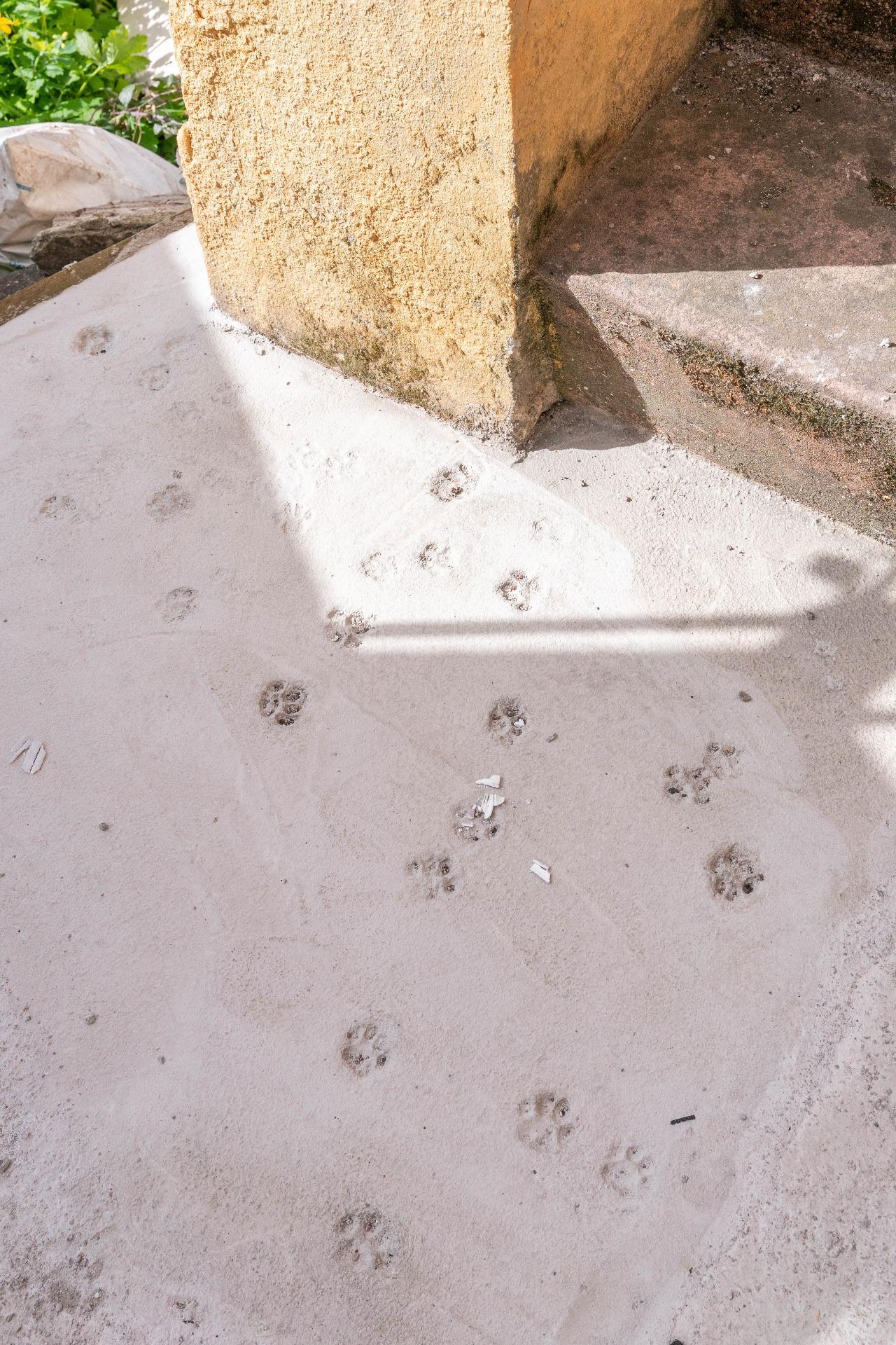 Pisos-Venta-Aller-2150218-Foto-26