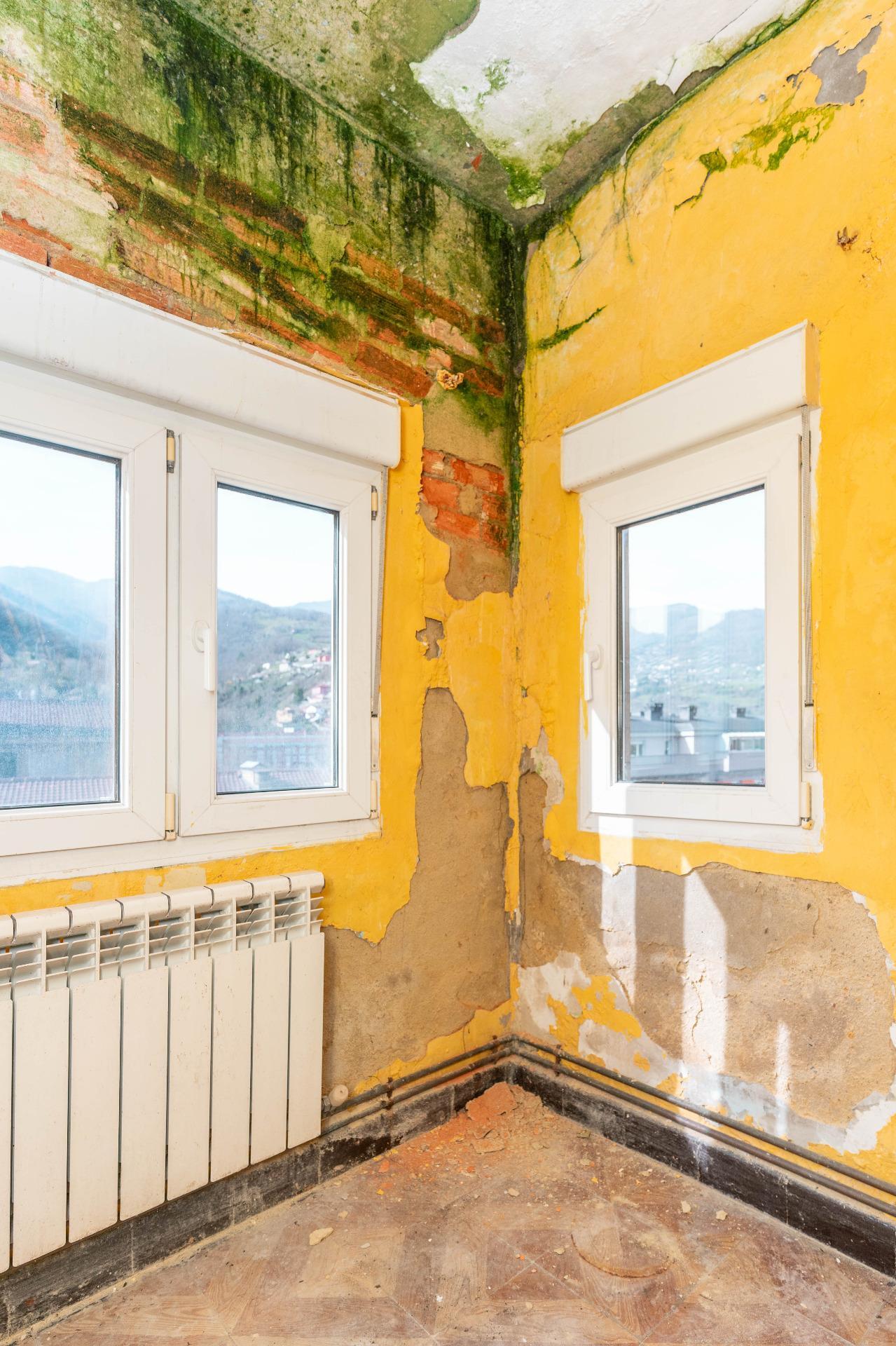 Pisos-Venta-Aller-2150221-Foto-26