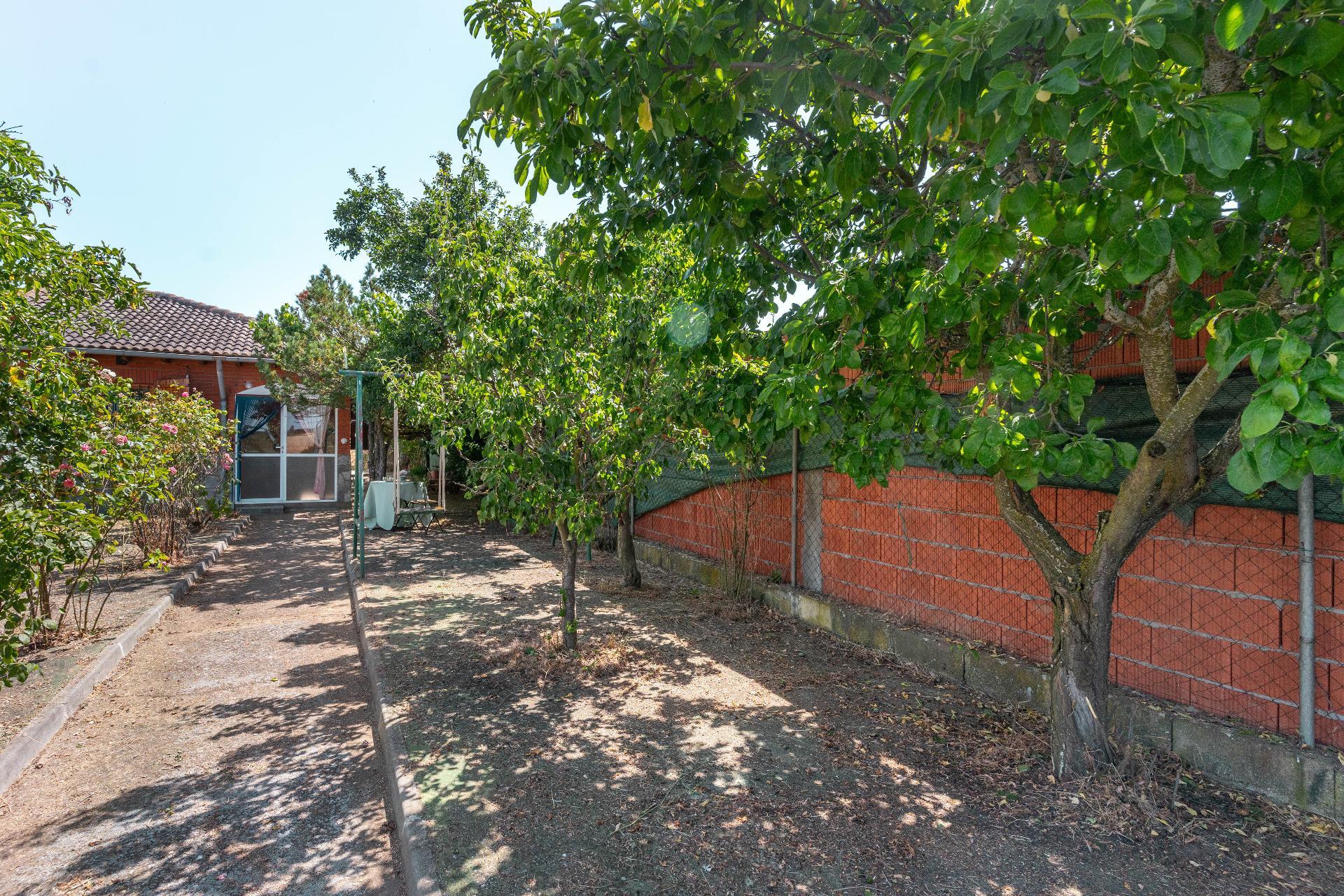 Casas o chalets-Venta-La BaÃ±eza-1396661-Foto-40