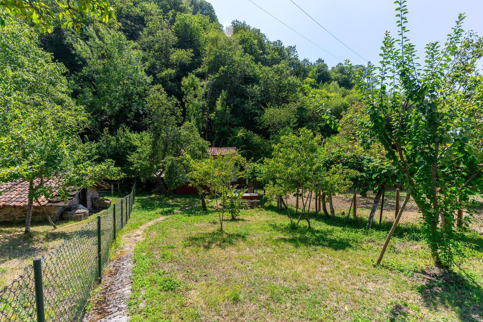 Casas o chalets-Venta-Mieres-1831752-Foto-36