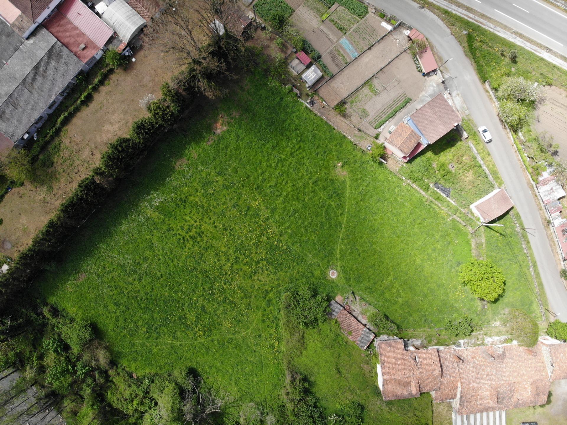 Fincas y solares-Venta-Villena-1389322-Foto-7