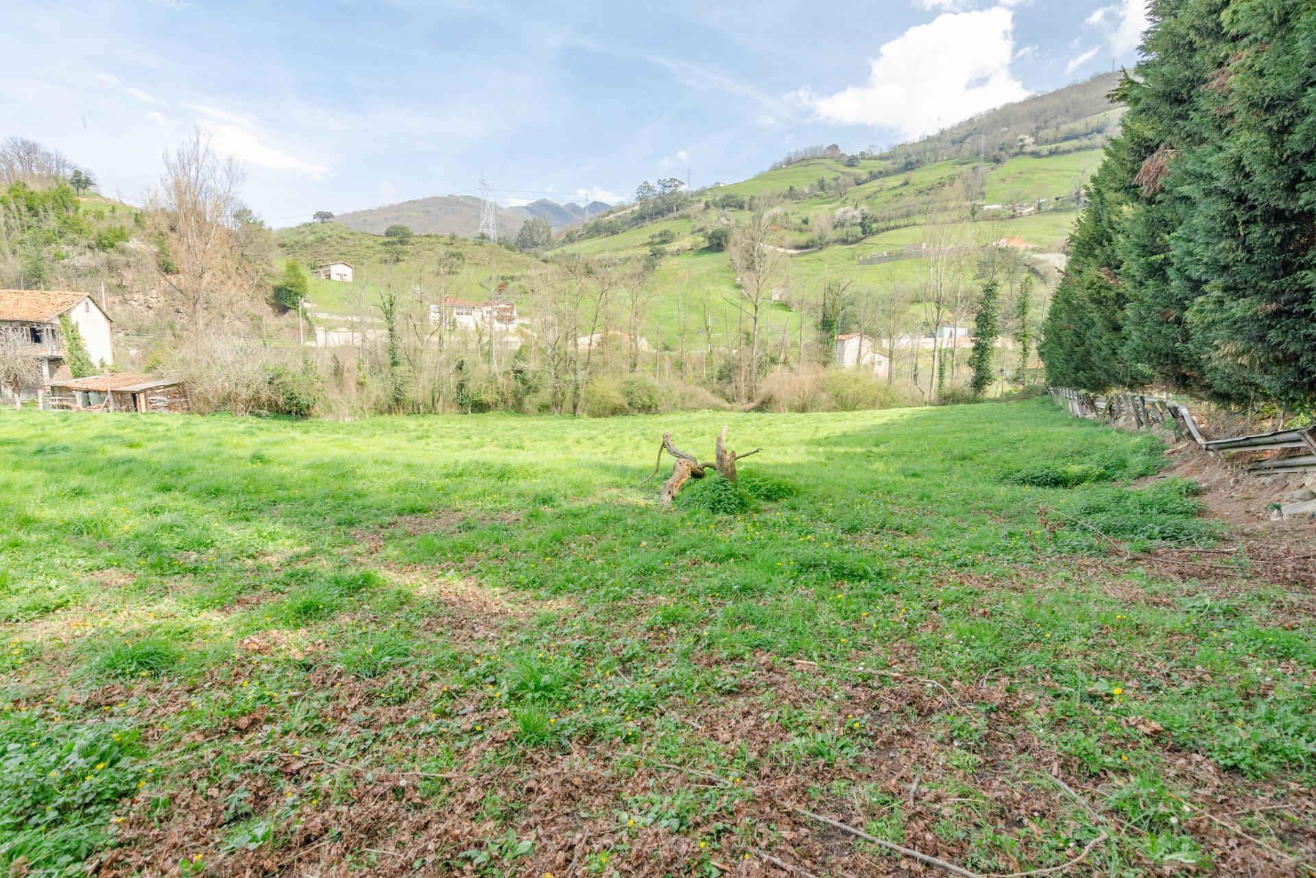 Fincas y solares-Venta-Villena-1389322-Foto-17