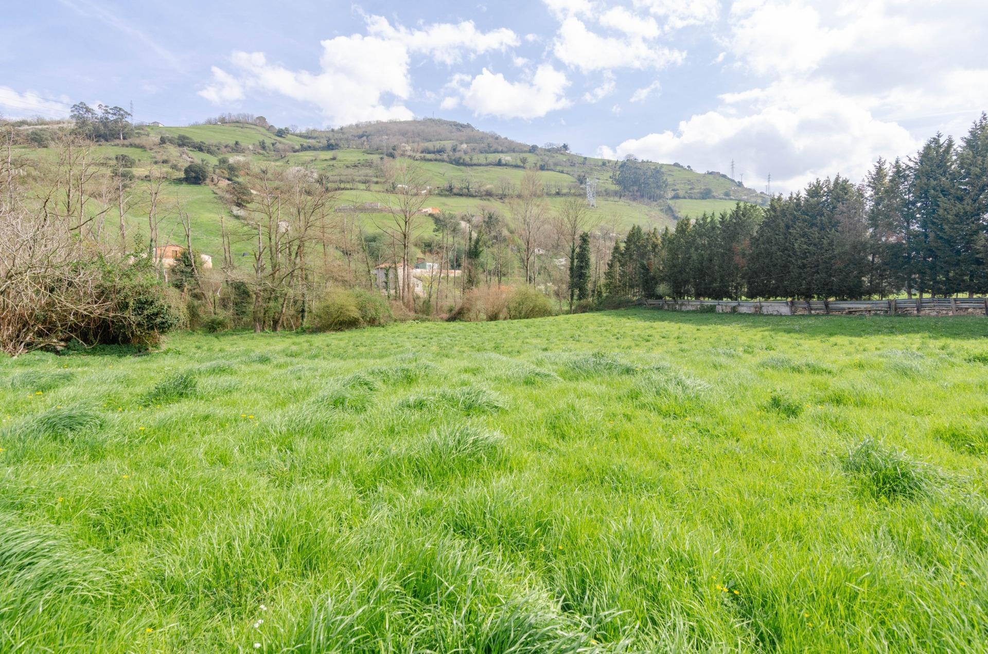 Fincas y solares-Venta-Villena-1389322-Foto-23