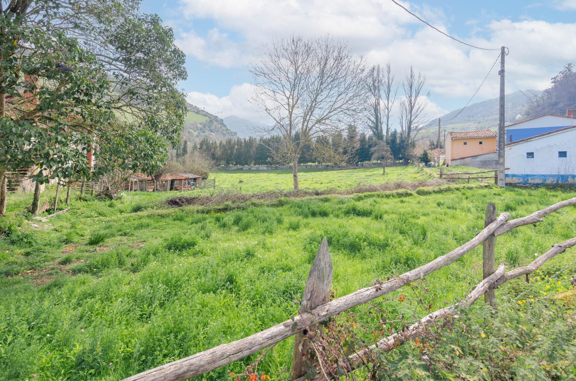 Fincas y solares-Venta-Villena-1389322-Foto-28